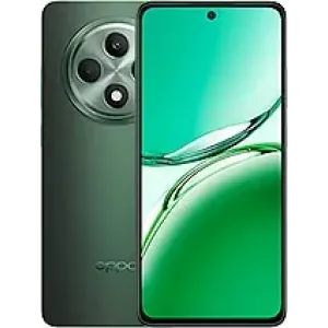 Oppo Reno12 FS accessoires